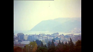 Hot wild vintage threesome! DVD