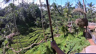 Big booty Thai girlfriend garden sex