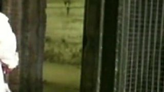 Trailer 341