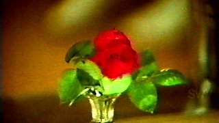 Vintage Outdoor Sex Play 1972