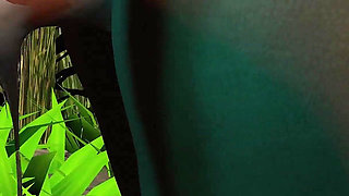 Dark Forest - 4K Mini Animation