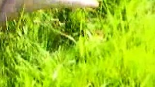 Amateur French Teen Outdoor softcore