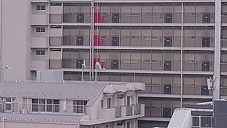 Paradise Lost: a Deepening Love Affair