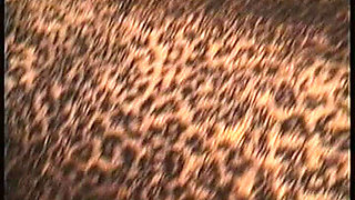 Dont Watch This Retro MILF Fuck