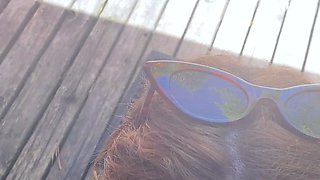 Amateur college teens blowjobs