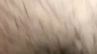 Pilot Video