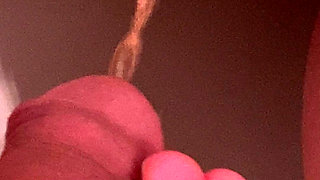 Pissing on My Girlfriend Pussy Lips While She Pee on Toilet