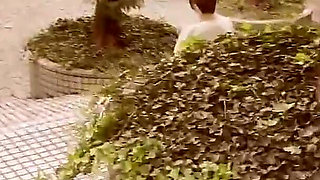 An Affair of Love and Lust: a Calm and Collected Wife with Unstoppable Sexual Desires Gives in!