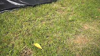 Piss Drinking Male Sex Slaves Whipping by Mistress