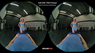 The Final Stretch - SLROriginals