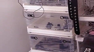 French - British Domme Alliance: CBT, Sounding & Electro Torment