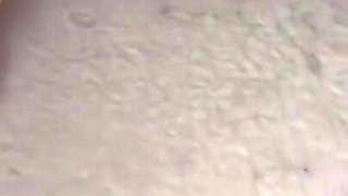 POV Petite Latina in Tight Skirt Gets Her Small Ass Fucked and Lots of Cum in Playground
