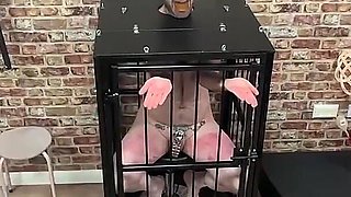 Double Domme Cruelty Omnibus