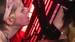 Extreme Fuckpiggy Training Human Ashtray & Food Stuffing