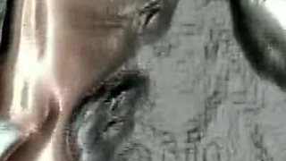 Trailer 440