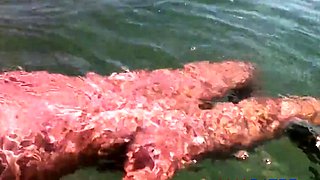 Naked Swimming MILF at the Beach