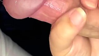 Amateur Wife Blowjob Porn