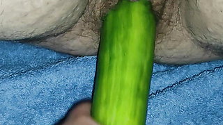 I put a cucumber in my girlfriend's cunt