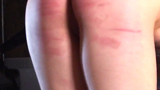 Kyra - part 5 - Obedience training