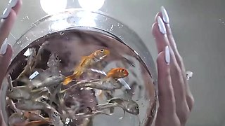 Demonic woman devours several innocent fish alive