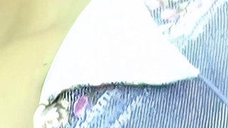 Horny Blonde Janet Gets Some Deep Dicking Fun in Her Pussy and Her Ass at the Same Time.
