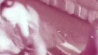 Vintage porn retro erotic theatre - Sexy sailors