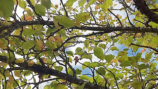 Hana at the Garden and Special Thing Happen