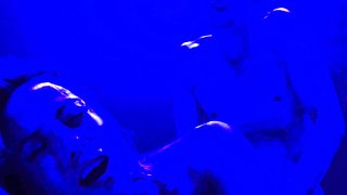Anal Obsession   A Compilation by Erika Lust