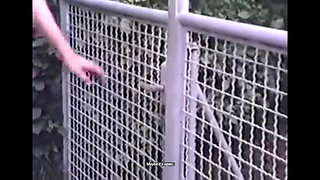 Gorgeous Leather Dom Does as She Pleases to Her Servants!