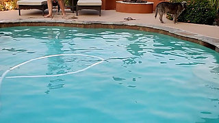 Dream MILF Skinny Dipping