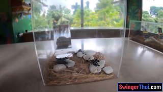 Cherry Lee In Park Visit And Lovemaking At Home After