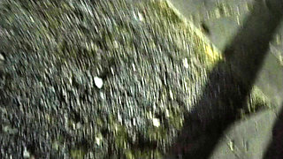 Outdoor Exposure Girl Licks Guy's Ass