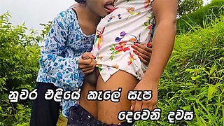 කල ආතල ගනන දවන දවස Hot Sri Lankan College Couple Very Risky Outdoor Public Fuck In Jungle