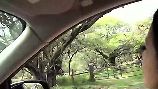 TEEN ASIAN SKANK MILKS DICK IN CAR