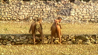 Wild Cat Eats a Lot of Tails in Nature