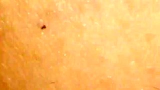 Jimbob Starlad Extreme Close-up Penetration Montage with Creampie