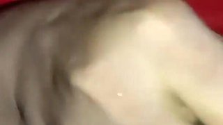 Desi Woman Tasneem and Her Boyfriend Had Anal Sex in Doggy Style for the First Time