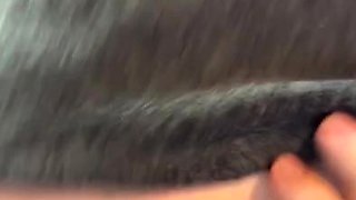 Amateur BJ Oral POV Blowjob Cumshot