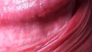 543 Extreme Close-up Asmr Lipstick Blowjob From Playful Slut Anya