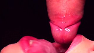 Blowjob and cum in mouth close up
