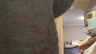 Stepmom Without Panties in the Hot Kitchen