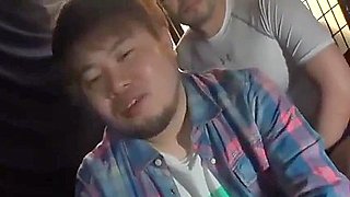 Korean Bears 03