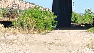 Slave Tih Shows Her Pussy and Tits Under the Bridge