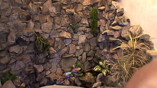 He Bangs His Cock on Her Petite Ass