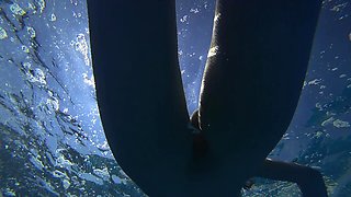 Stunning Girl Swims Nude on Public Beach