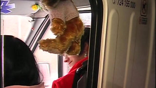 First Aid of the Clogs