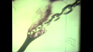 Disgusting Wild Fucking