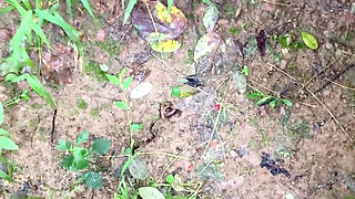 Outdoor Blowjob on Knees