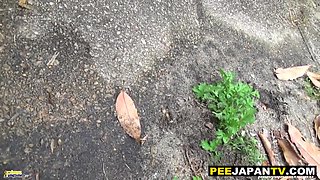 Japanese piss babes pee in public