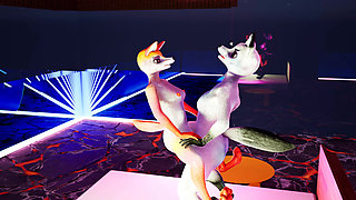 Foxes having fun in an unusual pose